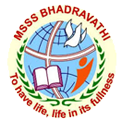 MSSS logo